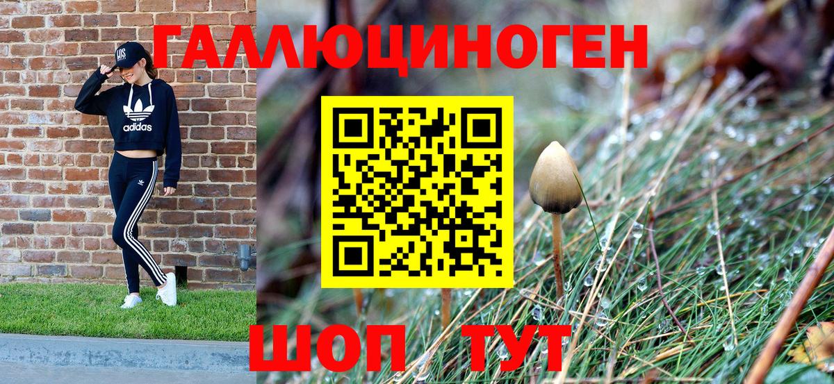 Полевской  Галлюциногенные грибы MAGIC MUSHROOMS  Псилоцибиновые грибы Psilocybine cubensis  Вход с VPN 